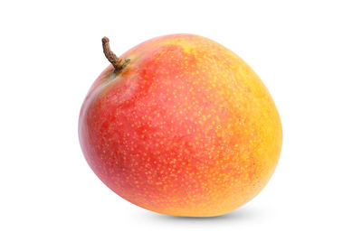 Close-up of apple against white background