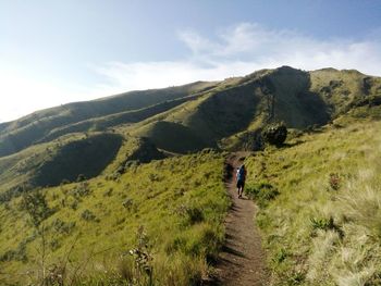 Rear view of male hiker walking on mountain