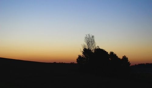 Silhouette of trees at sunset