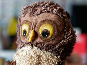 Close-up portrait of owl