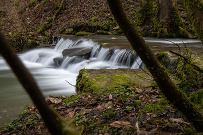 Scenic view of waterfall in forest