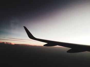 Bird flying over the sky