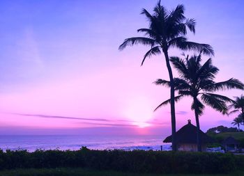 Silhouette palm trees on beach against sky at sunset