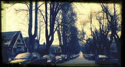 Cars parked on road