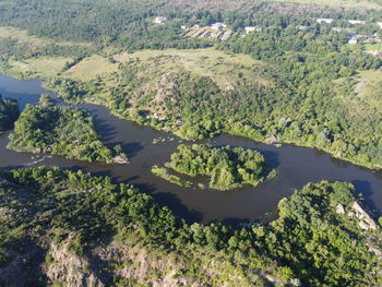 High angle view of trees on landscape