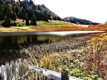 Scenic view of field by lake against sky