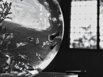 Close-up of ball on table