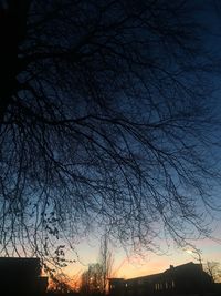 Low angle view of silhouette trees against sky at sunset