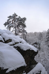 Trees on snow covered landscape against sky