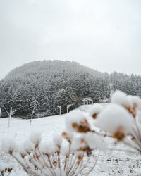 Snow covered field against sky