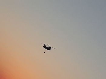 Low angle view of eagle flying against clear sky