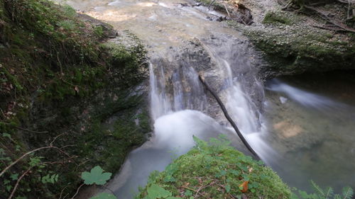 Scenic view of waterfall in forest