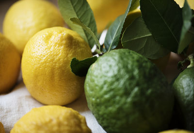 Close-up of lemon