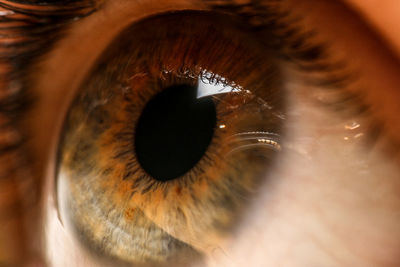 Extreme close-up of human eye