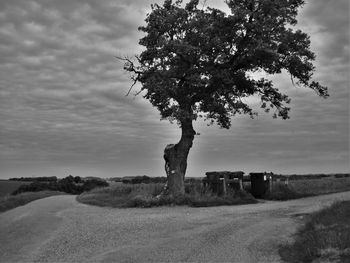 Scenic view of landscape against cloudy sky