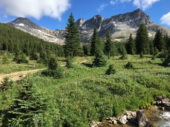 Scenic view of mountains against sky