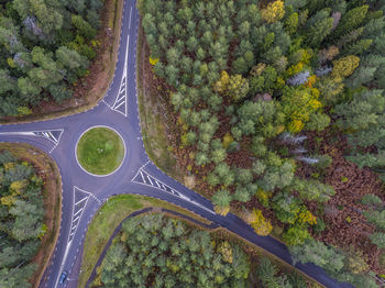 High angle view of trees