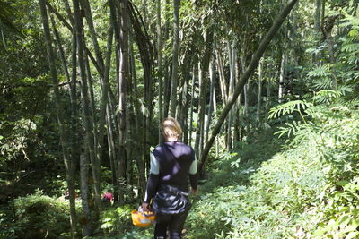 Woman standing in forest