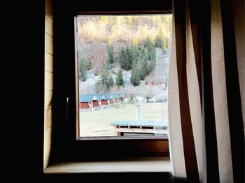 Trees seen through window