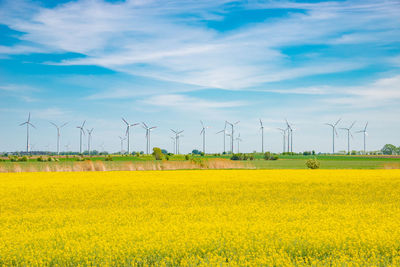 Wind turbines on field against sky