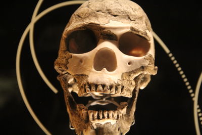 Close-up of human skull against black background