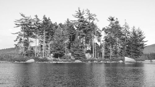 Reflection of trees in river