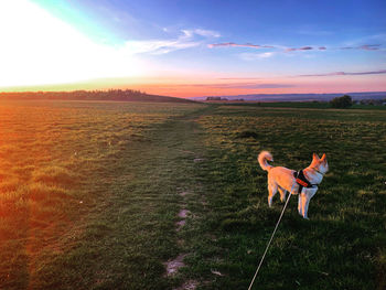 Spring walk