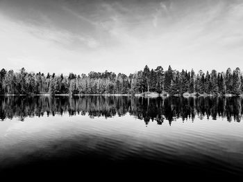 Scenic view of lake in forest against sky