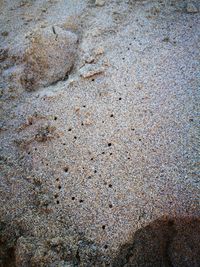 High angle view of footprints on beach