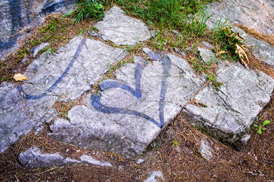 High angle view of text on road
