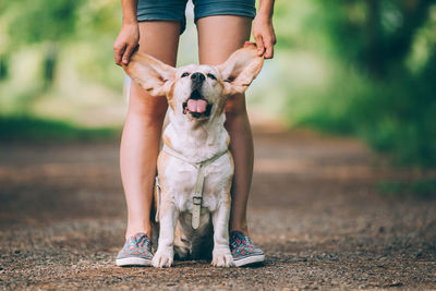 Low section of woman with dog