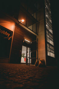 View of a dog resting on floor at night