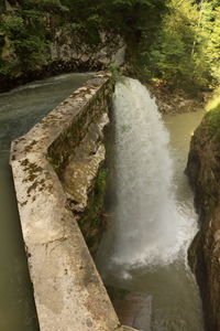 Scenic view of waterfall in forest