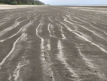 High angle view of sand dune on beach