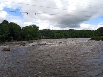 Scenic view of river amidst trees against sky