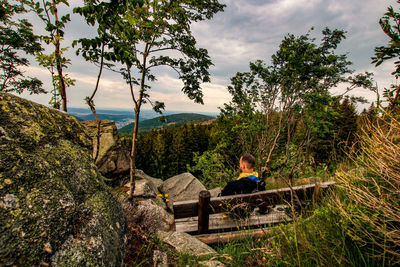 Man sitting by plants against sky