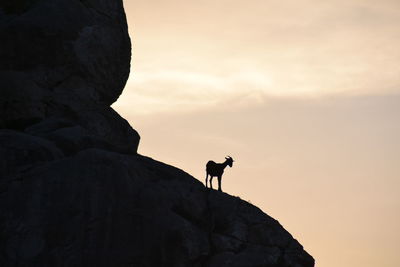 Low angle view of man standing on cliff against sky