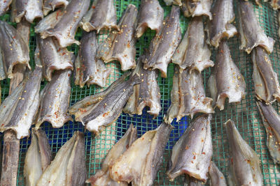 Close-up of fish for sale in market