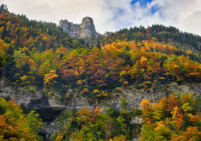 A valley full of color in autumn, with clouds, mountains and trees seen from below