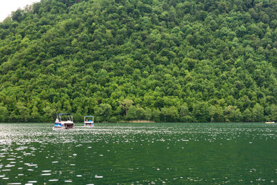 Sailboat sailing on lake against trees