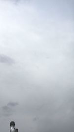 Low angle view of bird against sky