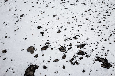 High angle view of footprints on snow covered land