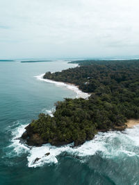 Scenic view of trees by sea against sky