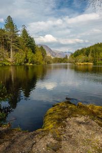 Scenic view of lake in forest against sky