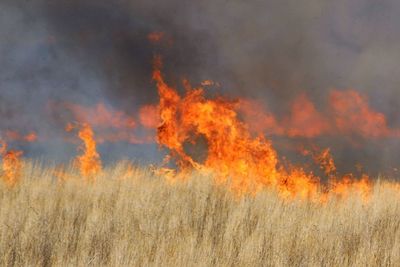 View of forest fire against sky