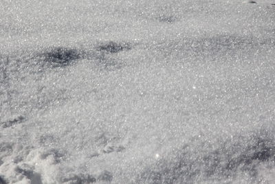 High angle view of snowflakes on ice