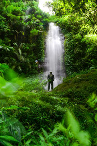 Man standing by waterfall in forest