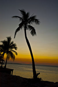 Silhouette palm trees on beach against sky during sunset