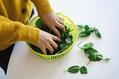 Women hands washing baby spinach leaves