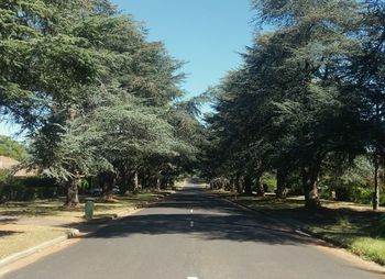 Empty road amidst trees against sky